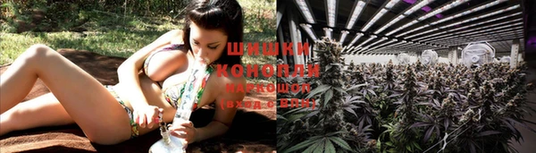 mix Нея