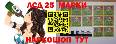 шишки Гатчина