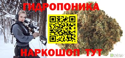 шишки Гатчина