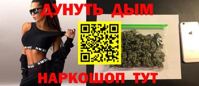 шишки Гатчина