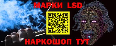 шишки Гатчина