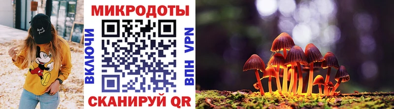 ссылка на мегу сайт Краснотурьинск Галлюциногенные грибы Psilocybe