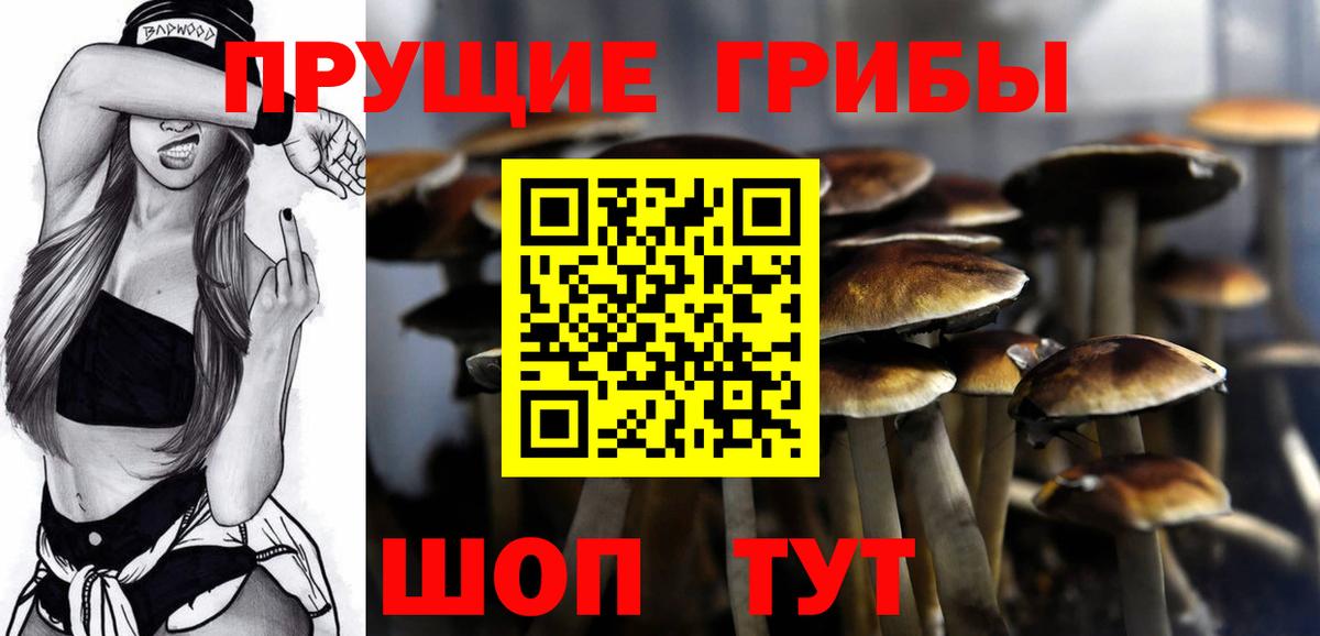 Галлюциногенные грибы Cubensis  где купить наркотик  Краснотурьинск 