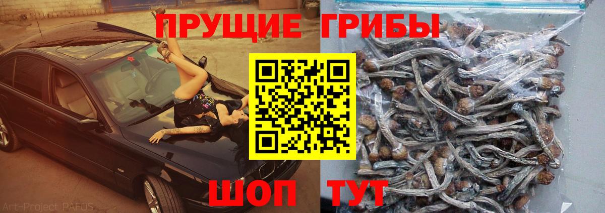 Псилоцибиновые грибы ЛСД  Вход с VPN  Краснотурьинск 